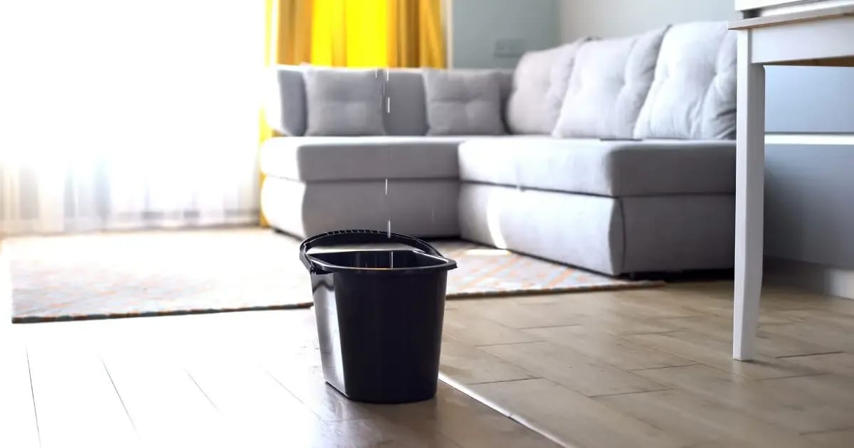 A black bucket sits on a hardwood floor collecting water dripping from a leaky roof