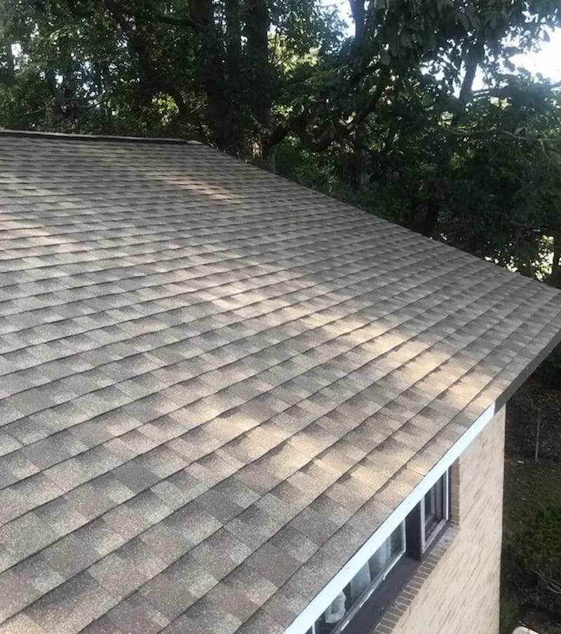 A detached shed with a green standing seam metal roof. 