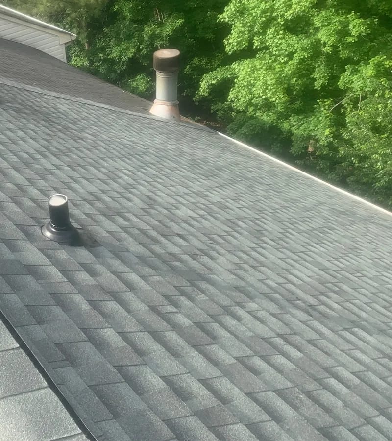 A detached shed with a green standing seam metal roof. 