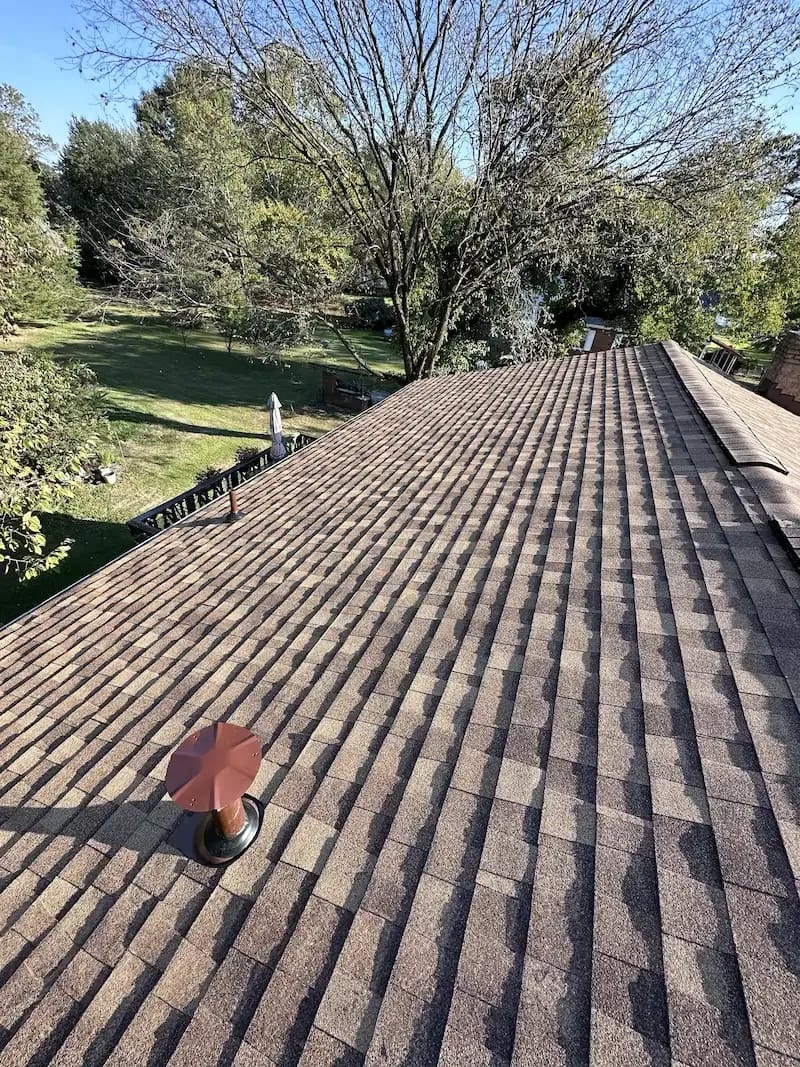 A detached shed with a green standing seam metal roof. 