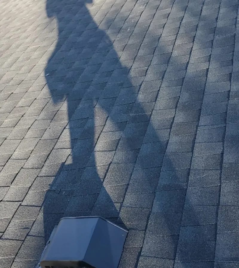 A detached shed with a green standing seam metal roof. 