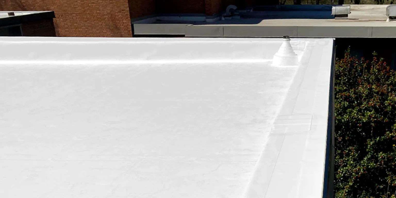 TPO flat roof. 